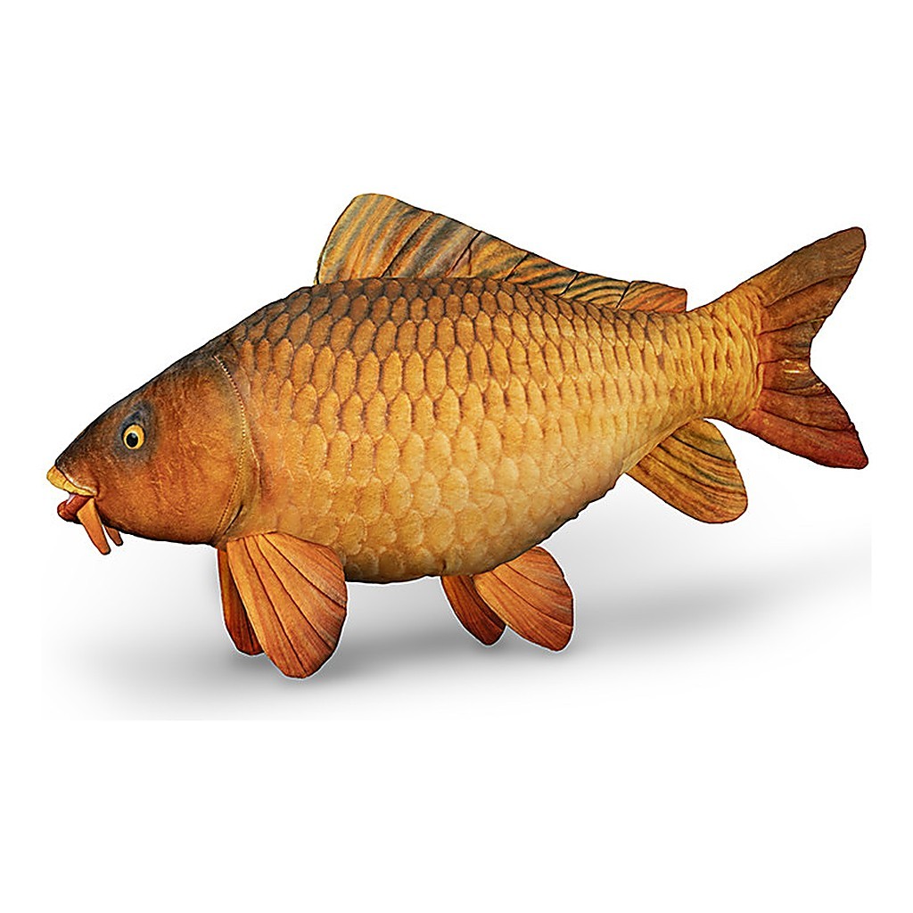 Delphin Plush Carp - 60 cm ryhmässä Muut / Pehmeät kalalelut & palkintokalat @ Sportfiskeprylar.se (101006075)