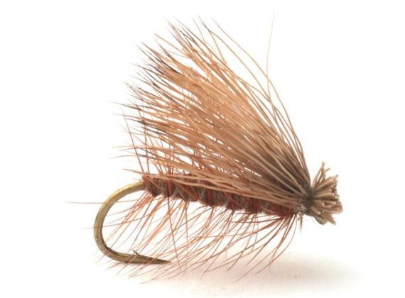 Guideline Elk Caddis Brown ryhmässä Vieheet / Perhot / Pintaperhot @ Sportfiskeprylar.se (101177GLr)