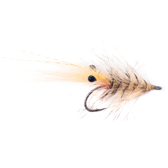 Guideline Hackle Shrimp #6 ryhmässä Vieheet / Perhot / Uppoperhot @ Sportfiskeprylar.se (108242GL)