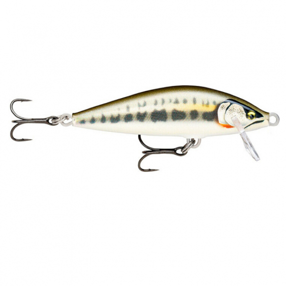 Rapala CountDown Elite 7,5cm, 10g - GDMN ryhmässä Vieheet / Vaaput / Matalan veden Crankbaits @ Sportfiskeprylar.se (124020NO)