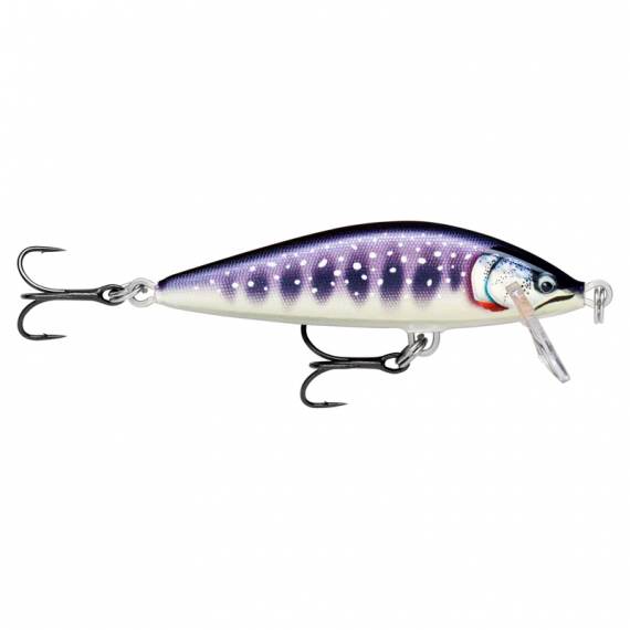 Rapala CountDown Elite 5,5cm GDIW ryhmässä Vieheet / Vaaput / Matalan veden Crankbaits @ Sportfiskeprylar.se (126555NO)