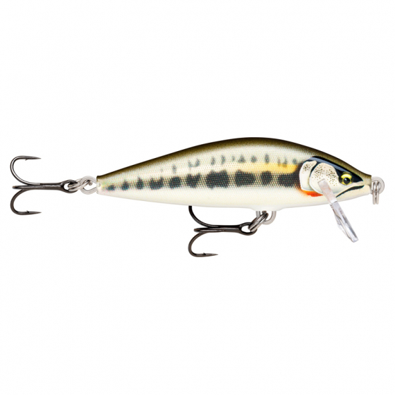 Rapala CountDown Elite 5,5cm - GDMN ryhmässä Vieheet / Vaaput / Matalan veden Crankbaits @ Sportfiskeprylar.se (126556NO)