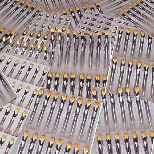 FutureFly Artificial Jungle Cock ryhmässä Koukut & Tarvikkeet / Perhonsidonta / Perhonsidontamateriaalit / Silmät @ Sportfiskeprylar.se (1465-001r)