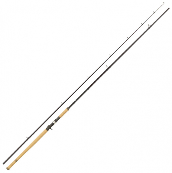 Abu Garcia Salmon Seeker 12\' 50-150g Casting ryhmässä Vavat / Heittovavat @ Sportfiskeprylar.se (1528632)