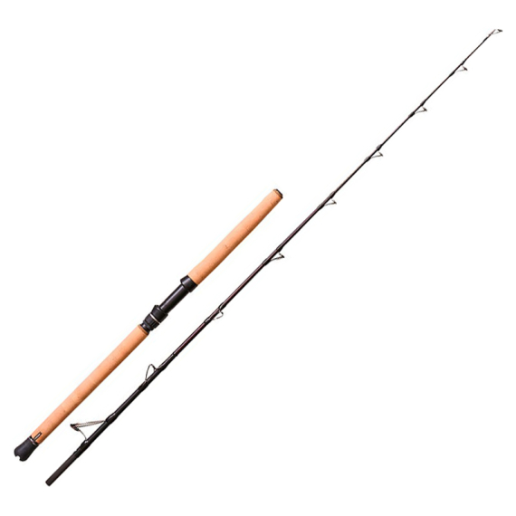 Savage Gear Fury SG6 Halibut 6\'5\'\'/1.95m 40-60Lb 250-700g 2pc ryhmässä Vavat / Merikalastusvavat @ Sportfiskeprylar.se (1601713)