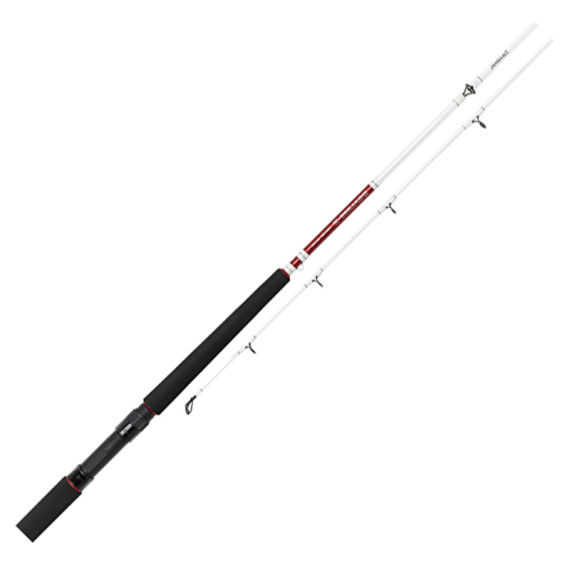 Daiwa Sealine Z Trolling ryhmässä Vavat / Vetouistelun Rigit @ Sportfiskeprylar.se (209084r)