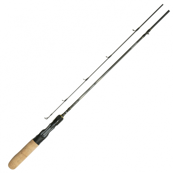 Daiwa Goldcast 2pc ryhmässä Vavat / Heittovavat @ Sportfiskeprylar.se (216202r)
