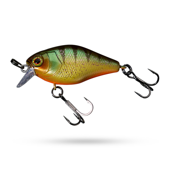 Jackall Chubby 41 - Aggressive Perch - Vieheet Vaaput Matalan veden Crankbaits