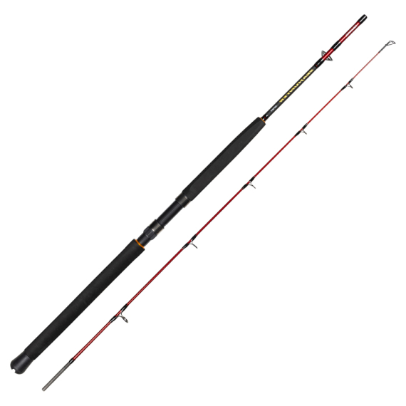 Daiwa Seahunter Spin ryhmässä Vavat / Merikalastusvavat / Venevavat @ Sportfiskeprylar.se (32-222125r)
