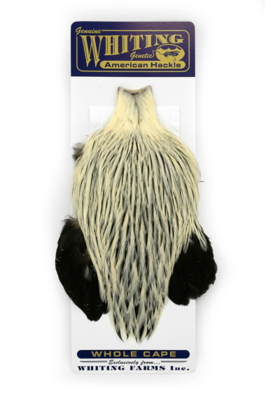 Whiting American Rooster Cape Silver Badger ryhmässä Koukut & Tarvikkeet / Perhonsidonta / Perhonsidontamateriaalit / Höyhenet & Sulat / Takit & Satulat @ Sportfiskeprylar.se (41801018)