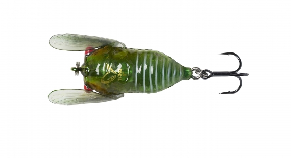 Savage Gear 3D Cicada 33mm 3,5g Floating, Green ryhmässä Uistimet / vieheet / Popperit @ Sportfiskeprylar.se (61989)