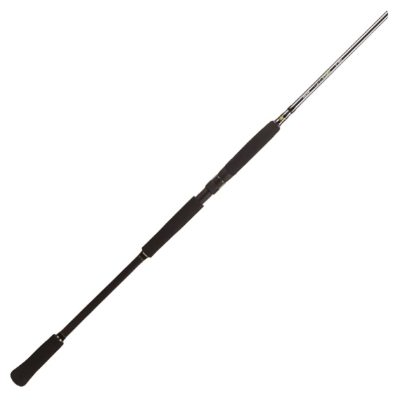 BFT Raptor G2 Pike Spin 8\' -100g, 2pcs Spinning ryhmässä Vavat / Avokelavavat @ Sportfiskeprylar.se (75-BFT-R2SP80-2)