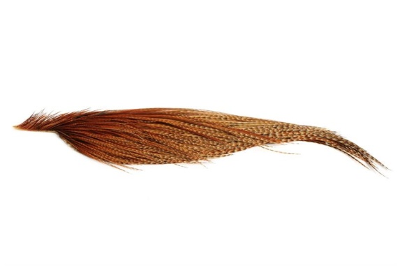 Whiting Bronze 1/2 Dry Fly Hackle Barred Dark Ginger ryhmässä Koukut & Tarvikkeet / Perhonsidonta / Perhonsidonta materiaali / Höyhenet & Sulat / Häkilä @ Sportfiskeprylar.se (91341016)
