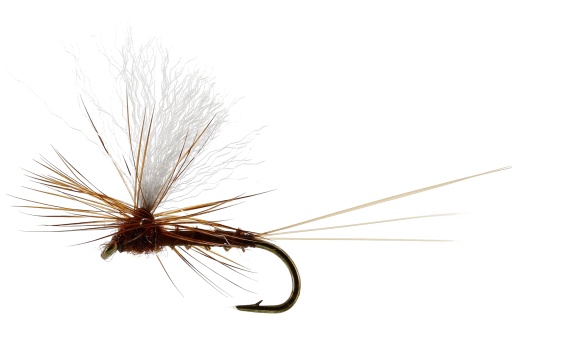 Vespertina Dun Biot Brown TMC100 ryhmässä Kalastusmenetelmät / Perhokalastus / Perhot / Kuivaperhoset @ Sportfiskeprylar.se (FL32115r)