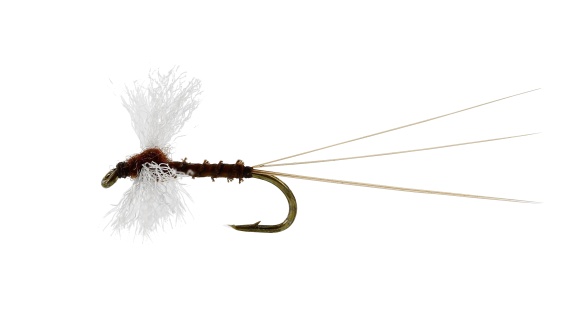 Vespertina Spinner Biot Brown TMC100 ryhmässä Kalastusmenetelmät / Perhokalastus / Perhot / Kuivaperhoset @ Sportfiskeprylar.se (FL32125r)