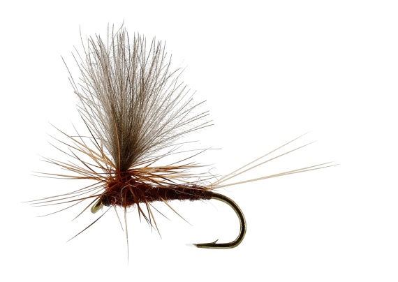 Vespertina Dun Brown TMC100 ryhmässä Kalastusmenetelmät / Perhokalastus / Perhot / Kuivaperhoset @ Sportfiskeprylar.se (FL32170r)