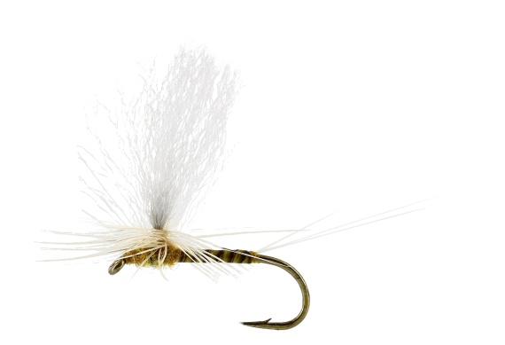 Sulphurea Dun Quill Yellow TMC100 ryhmässä Kalastusmenetelmät / Perhokalastus / Perhot / Kuivaperhoset @ Sportfiskeprylar.se (FL32200r)