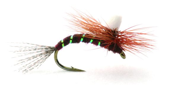 Ephemerella Klekker ryhmässä Vieheet / Perhot / Pintaperhot @ Sportfiskeprylar.se (GL46169r)