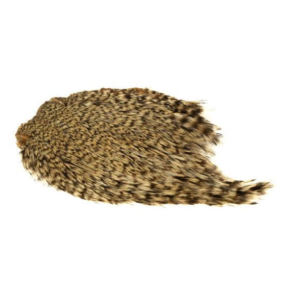 Indisk tuppnacke - Grizzly ryhmässä Koukut & Tarvikkeet / Perhonsidonta / Perhonsidontamateriaalit / Höyhenet & Sulat / Takit & Satulat @ Sportfiskeprylar.se (GN11-12)