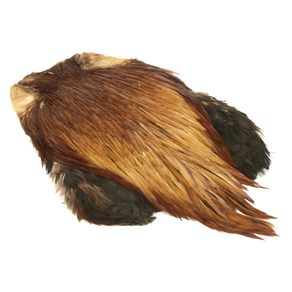 Indisk tuppnacke - Medium Brown ryhmässä Koukut & Tarvikkeet / Perhonsidonta / Perhonsidontamateriaalit / Höyhenet & Sulat / Takit & Satulat @ Sportfiskeprylar.se (GN11-5)