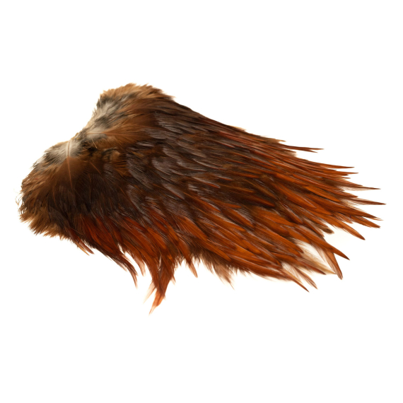 Indisk tuppsadel - Medium Brown ryhmässä Koukut & Tarvikkeet / Perhonsidonta / Perhonsidontamateriaalit / Höyhenet & Sulat / Takit & Satulat @ Sportfiskeprylar.se (GN15-5)