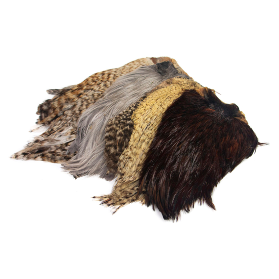 Indisk tuppnacke ryhmässä Koukut & Tarvikkeet / Perhonsidonta / Perhonsidontamateriaalit / Höyhenet & Sulat / Takit & Satulat @ Sportfiskeprylar.se (GN28-31r)