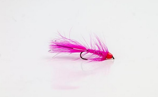 Wolly Bugger Cone Pink size 8 ryhmässä Uistimet / vieheet / Perhot / Streamerit @ Sportfiskeprylar.se (HF1227-8)