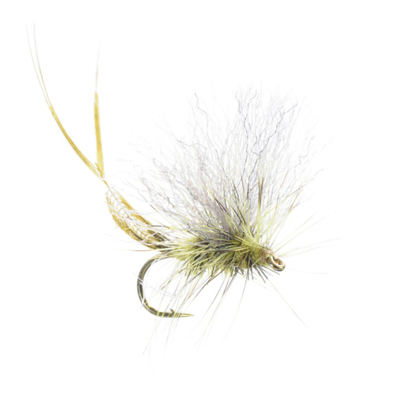 Umpqua Extended Body Green Drake - #12 ryhmässä Vieheet / Perhot / Pintaperhot @ Sportfiskeprylar.se (NFD9838-Green12)
