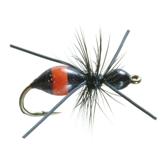 Umpqua Attract-Ant Black/Red - #16 ryhmässä Vieheet / Perhot / Pintaperhot @ Sportfiskeprylar.se (NFD9861-16)