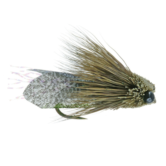 Umpqua Clark\'s Cicada Olive - #10 ryhmässä Vieheet / Perhot / Pintaperhot @ Sportfiskeprylar.se (NFD9865-10)