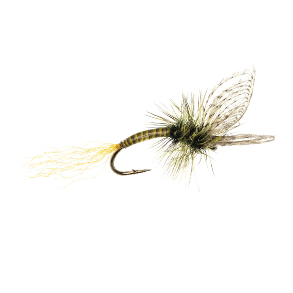 Umpqua Maldos PMD Emerger Maldonado ryhmässä Vieheet / Perhot / Pintaperhot @ Sportfiskeprylar.se (NFD9870-16r)