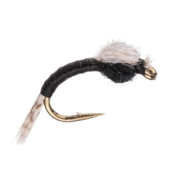 Umpqua WD 40 Black ryhmässä Vieheet / Perhot / Nymfit @ Sportfiskeprylar.se (NFD9877-Black18r)