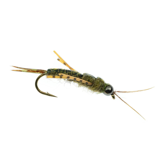 Umpqua Skwala Stone Tungsten Olive ryhmässä Vieheet / Perhot / Uppoperhot @ Sportfiskeprylar.se (NFD9886-8r)