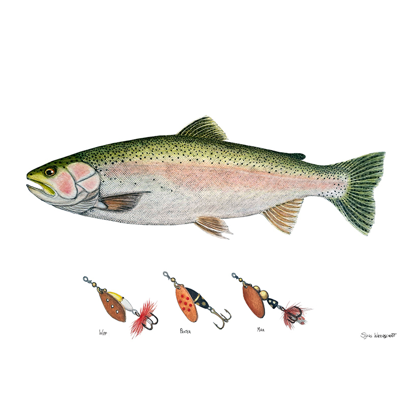Myran Framed Rainbow Poster ryhmässä @ Sportfiskeprylar.se (NFS50-7)