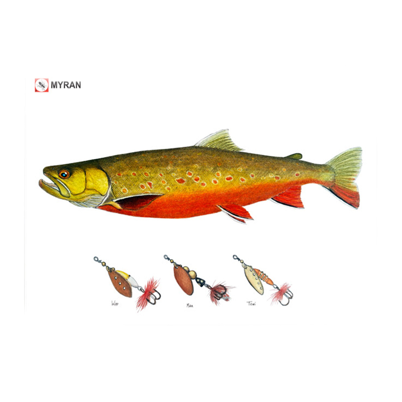 Myran Framed Arctic Char Poster ryhmässä @ Sportfiskeprylar.se (NFS50-8)