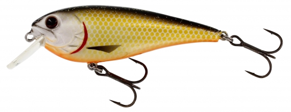 Westin RawBite 7 cm 12 g Floating Official Roach ryhmässä Vieheet / Vaaput / Matalan veden Crankbaits @ Sportfiskeprylar.se (P048-155-005)