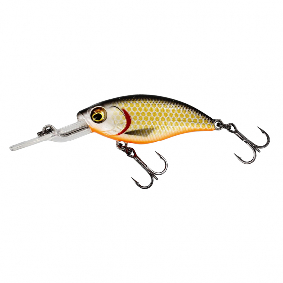 BuzzBite Crankbait 6cm 10g Suspending Official Roach ryhmässä Vieheet / Vaaput / Syvän menevät crankbait-vieheet @ Sportfiskeprylar.se (P145-155-148)