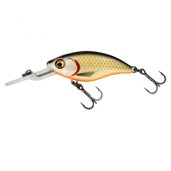 Westin BuzzBite Crankbait 4cm 4g Low Floating - Official Roach ryhmässä Vieheet / Vaaput / Syvän menevät crankbait-vieheet @ Sportfiskeprylar.se (P145-155-159)