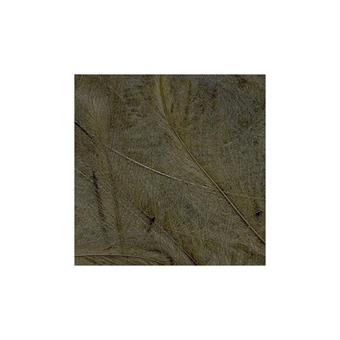 CDC Feathers 1 gr - Bistre ryhmässä Koukut & Tarvikkeet / Perhonsidonta / Perhonsidontamateriaalit / Höyhenet & Sulat / CDC @ Sportfiskeprylar.se (PE-1GR16)