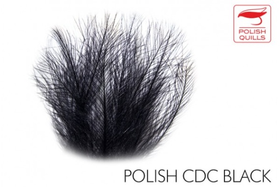 Polish Quill CDC ryhmässä Koukut & Tarvikkeet / Perhonsidonta / Perhonsidonta materiaali / Höyhenet & Sulat / CDC @ Sportfiskeprylar.se (PQ-PCDC-Honeyr)
