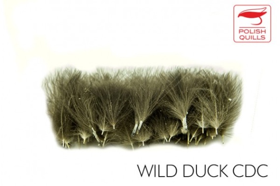 Polish Quill Wild Duck CDC ryhmässä Koukut & Tarvikkeet / Perhonsidonta / Perhonsidonta materiaali / Höyhenet & Sulat / Muut höyhenet @ Sportfiskeprylar.se (PQ-WDCDC)