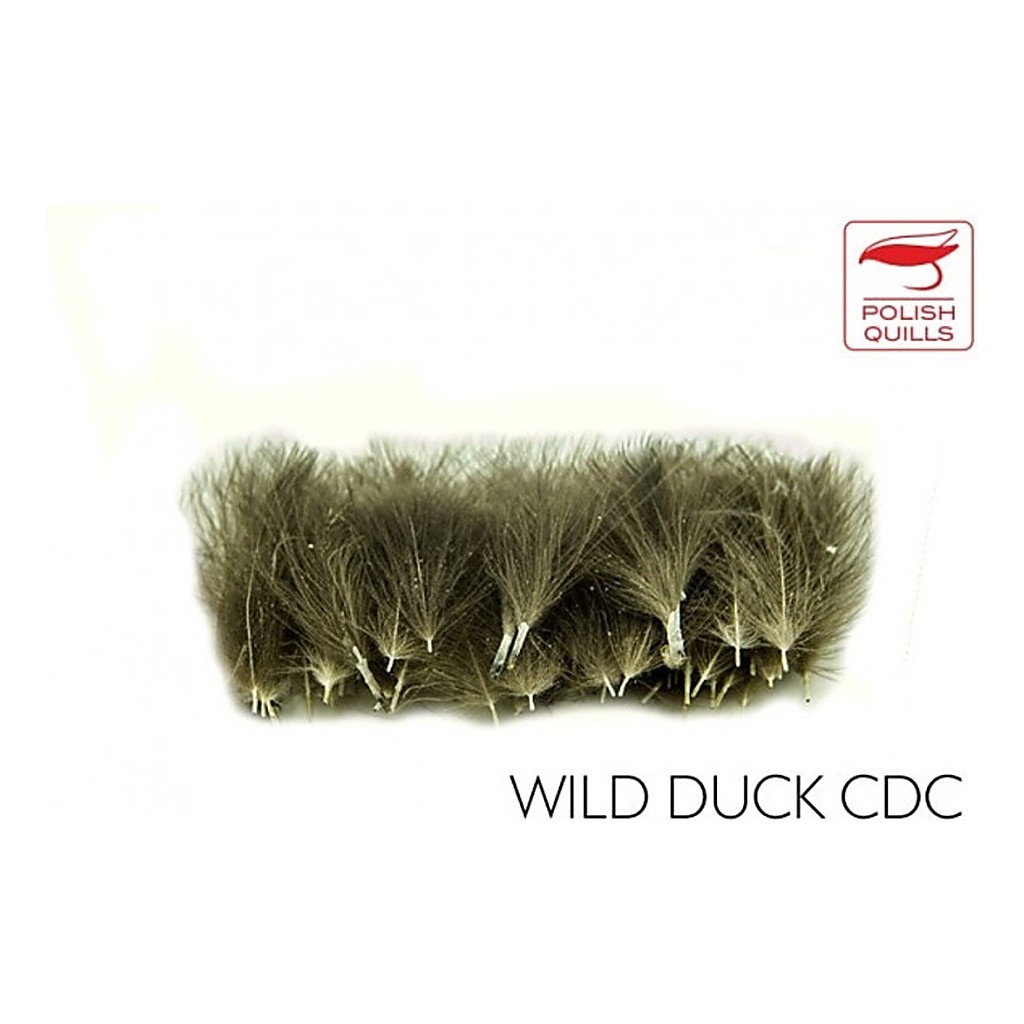 Polish Quill Wild Duck CDC ryhmässä Koukut & Tarvikkeet / Perhonsidonta / Perhonsidontamateriaalit / Höyhenet & Sulat / Muut höyhenet @ Sportfiskeprylar.se (PQ-WDCDC)