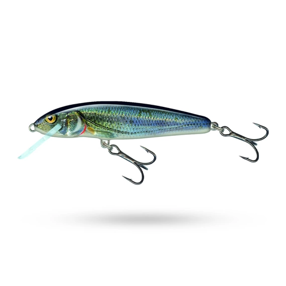 Salmo Minnow Floating ryhmässä Vieheet / Vaaput / Matalan veden Crankbaits @ Sportfiskeprylar.se (QMW002r)