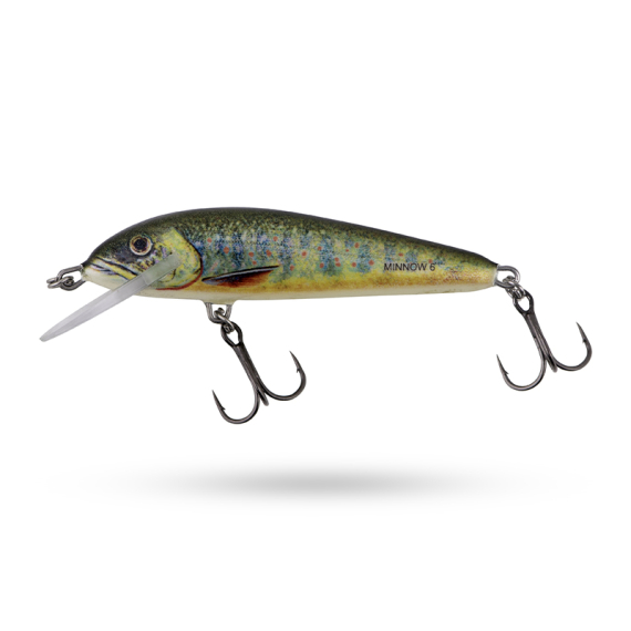 Salmo Minnow Sikning ryhmässä Vieheet / Vaaput / Matalan veden Crankbaits @ Sportfiskeprylar.se (QMW008r)