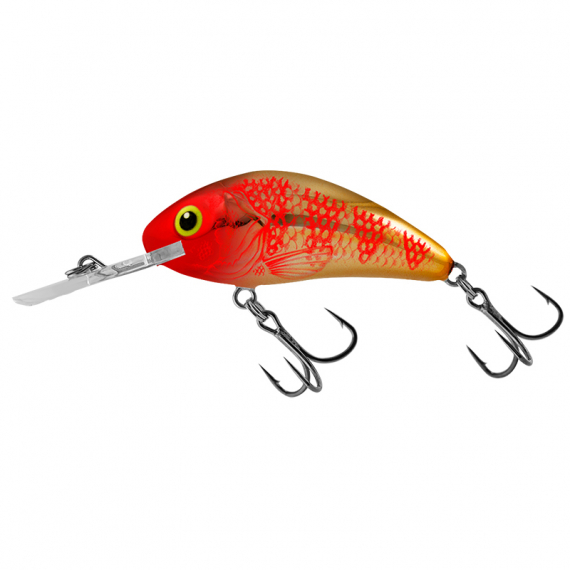Salmo Rattlin\' Hornet 4.5cm - Golden Red Head ryhmässä Vieheet / Vaaput / Syvän menevät crankbait-vieheet @ Sportfiskeprylar.se (QRH516)