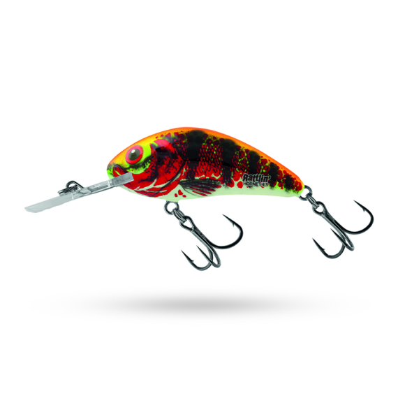 Salmo Rattlin\' Hornet 5.5cm - Holo Red Perch ryhmässä Vieheet / Vaaput / Syvän menevät crankbait-vieheet @ Sportfiskeprylar.se (QRH517)