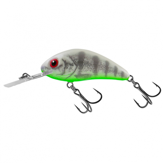 Salmo Rattlin\' Hornet 5.5cm - Ghost Perch ryhmässä Vieheet / Vaaput / Syvän menevät crankbait-vieheet @ Sportfiskeprylar.se (QRH518)