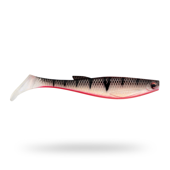 Scout Shad 15cm (2pcs) - Red Ghost Perch ryhmässä Vieheet / Jigit ja keinosyötit / Haukijigit @ Sportfiskeprylar.se (STSS15P-902)