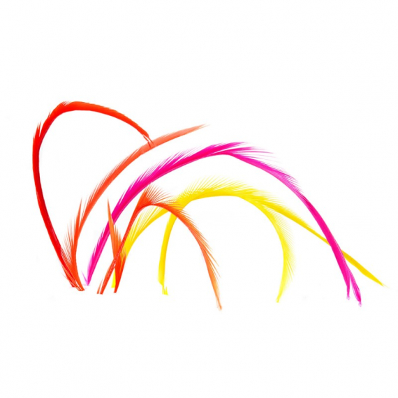 Goosebiots ryhmässä Koukut & Tarvikkeet / Perhonsidonta / Perhonsidontamateriaalit / Höyhenet & Sulat / Häkilä @ Sportfiskeprylar.se (V5048r)