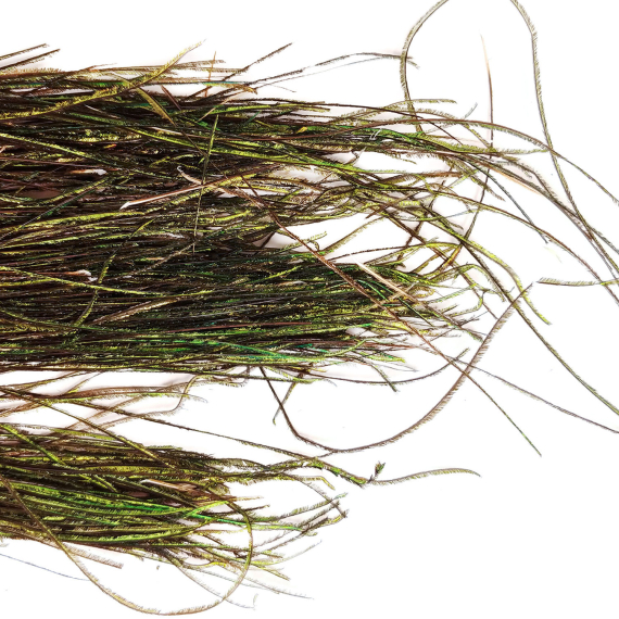 Peacock - herl ryhmässä Koukut & Tarvikkeet / Perhonsidonta / Perhonsidontamateriaalit / Höyhenet & Sulat / Häkilä @ Sportfiskeprylar.se (V5170)